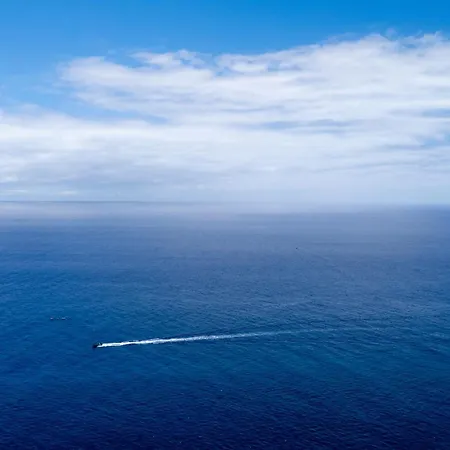 Oceanalis By Lovelystay * Funchal (Madeira)